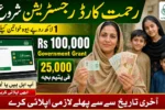 Rahmat Card Online Registration 2026 rahmatcard.punjab.gov.pk - Rs 100000 for Eligible Widows